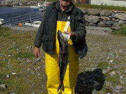 Norwegen 2008 Rundereim
